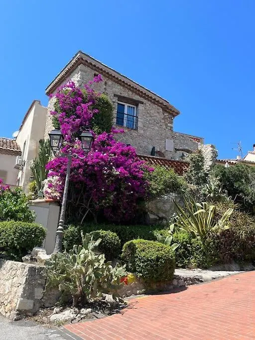 Strelizia - New Central Old Antibes For 4 Ac Apartment