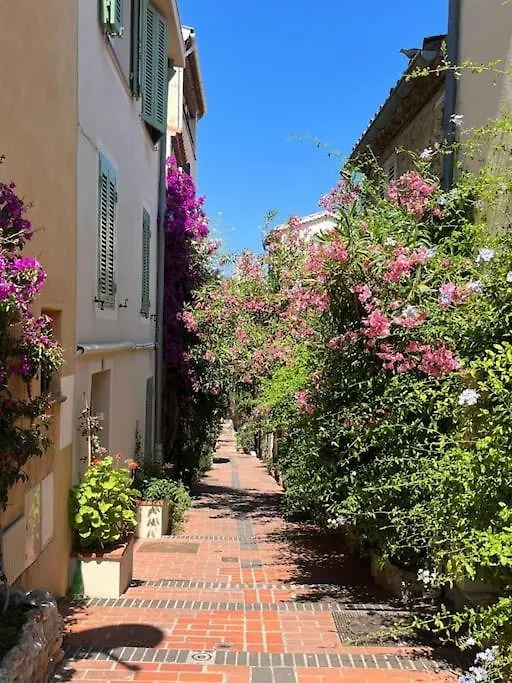 Apartment Strelizia - New Central Old Antibes For 4 Ac France